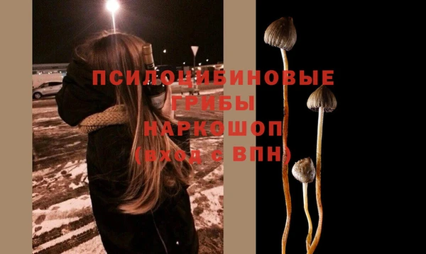 Альфа ПВП Мегион