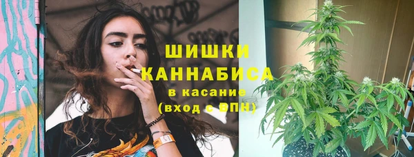Альфа ПВП Мегион
