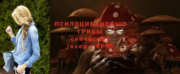 Альфа ПВП Мегион