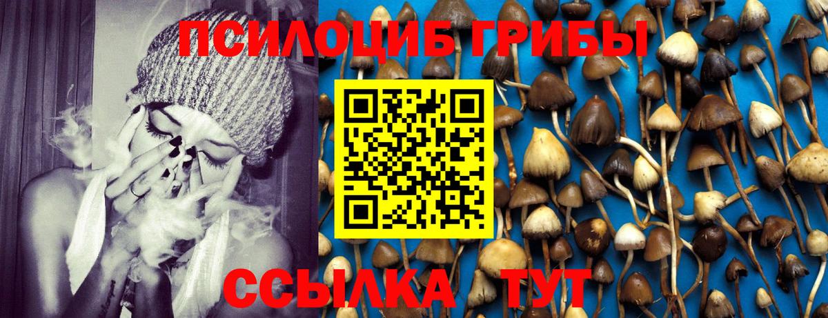 Галлюциногенные грибы Psilocybe  Псилоцибиновые грибы MAGIC MUSHROOMS  сколько стоит  Пятигорск 