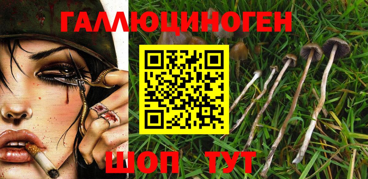 Галлюциногенные грибы ЛСД Пятигорск