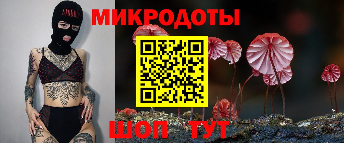 Псилоцибиновые грибы GOLDEN TEACHER Пятигорск